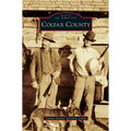 Colfax County