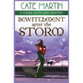 Bewitchment After the Storm: A Viking Witch Cozy Mystery