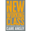 The New Working Class: How to Win Hearts, Minds and Votes