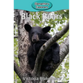 Black Bears
