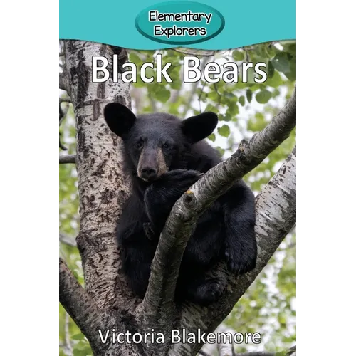 Black Bears