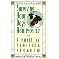Surviving Your Dog's Adolescence: A Positive Training Program