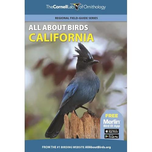 All about Birds California