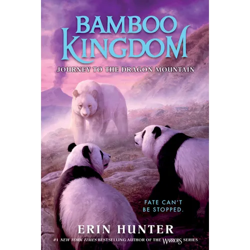 Bamboo Kingdom #3: Journey to the Dragon Mountain - Paperback
