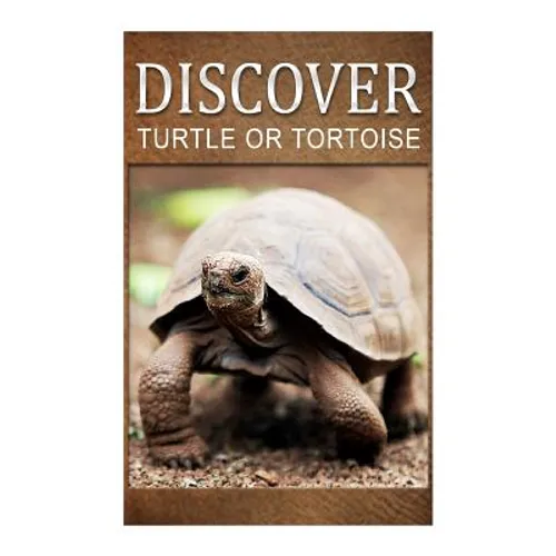 Turtle Or Tortoise - Discover: Early reader's wildlife photography book