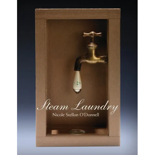 Steam Laundry