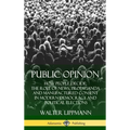 Public Opinion: How People Decide; The Role of News, Propaganda and Manufactured Consent in Modern Democracy and Political Elections (Hardcover)