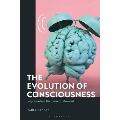 The Evolution of Consciousness: Representing the Present Moment