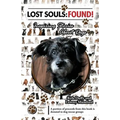 Lost Souls: FOUND! Inspiring Stories About Dogs