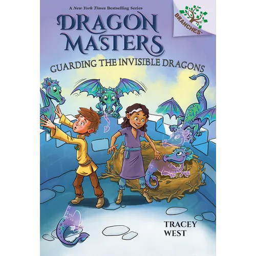 Guarding the Invisible Dragons: A Branches Book (Dragon Masters #22): Volume 22