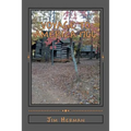 Voyage to America 1766: Revised reprint originally published 2006