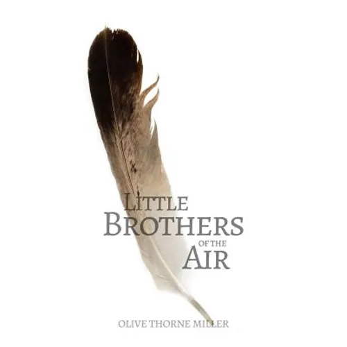 Little Brothers of the Air