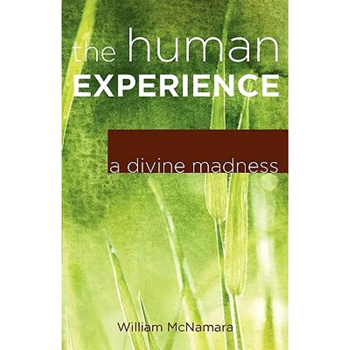 The Human Experience: A Divine Madness