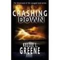 Crashing Down - A Post-Apocalyptic Novel