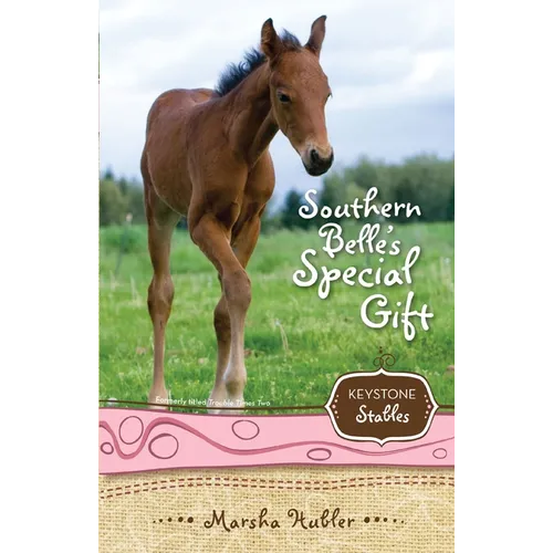 The Southern Belle's Special Gift: 3