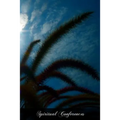 Spiritual Conferences