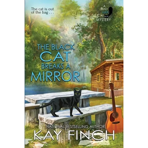 The Black Cat Breaks a Mirror