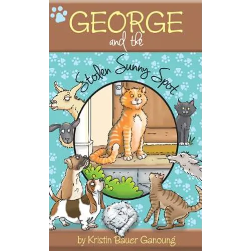 George and the Stolen Sunny Spot