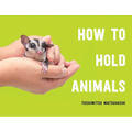 How to Hold Animals