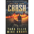 After the Crash: After the Crash Book 1