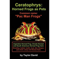 Ceratophrys: Horned Frogs as Pets: Common name: "Pac Man Frogs"