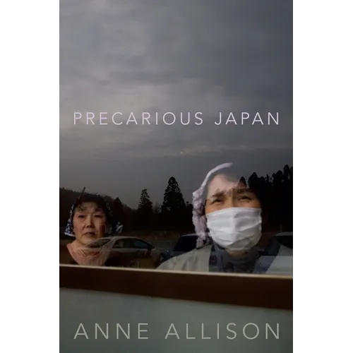 Precarious Japan