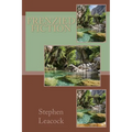 Frenzied Fiction
