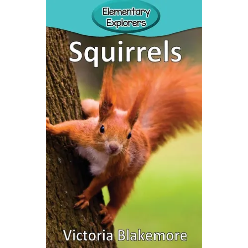 Squirrels