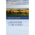 The Wonder of the Beyond