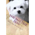 The Maltese Dog: What You Should Know