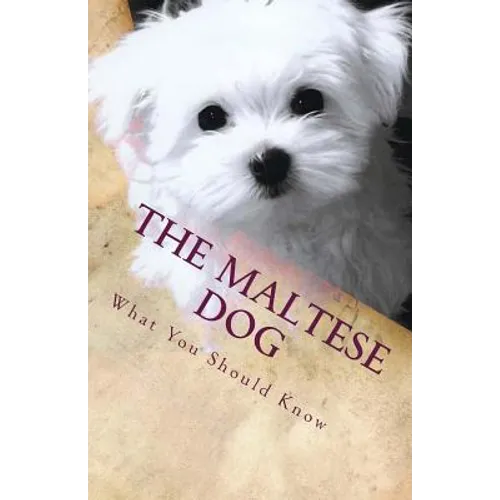 The Maltese Dog: What You Should Know