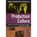 Production Culture: Industrial Reflexivity and Critical Practice in Film and Television