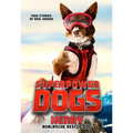 Superpower Dogs: Henry