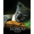 Koalas: Zen In Fur (Trade Color Edition)