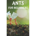 Ants for beginners: Guide to successfully keep ants in an ant farm for novices