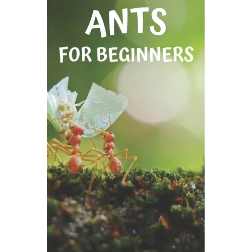 Ants for beginners: Guide to successfully keep ants in an ant farm for novices