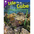 Life in a Cube