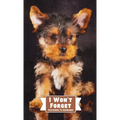 I Won't Forget Passwords To Remember: Hardcover Password Tracker And Information Keeper With Alphabetical Index For Social Media, Website and Online A