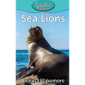 Sea Lions