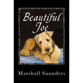 Beautiful Joe