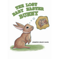 The Lost Baby Easter Bunny