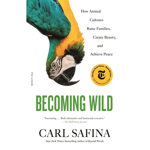 Becoming Wild: How Animal Cultures Raise Families, Create Beauty, and Achieve Peace