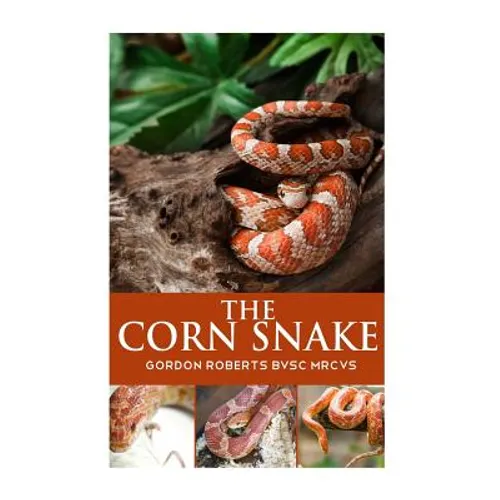 The Corn Snake
