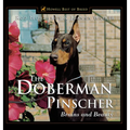 The Doberman Pinscher: Brains and Beauty
