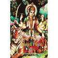 Durga Puja Beginner