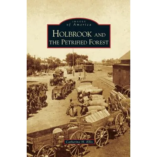 Holbrook and the Petrified Forest