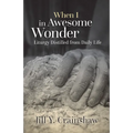 When I in Awesome Wonder: Liturgy Distilled from Daily Life