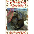 The Great Degu Round-Up