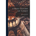 A Brief History of Turkey