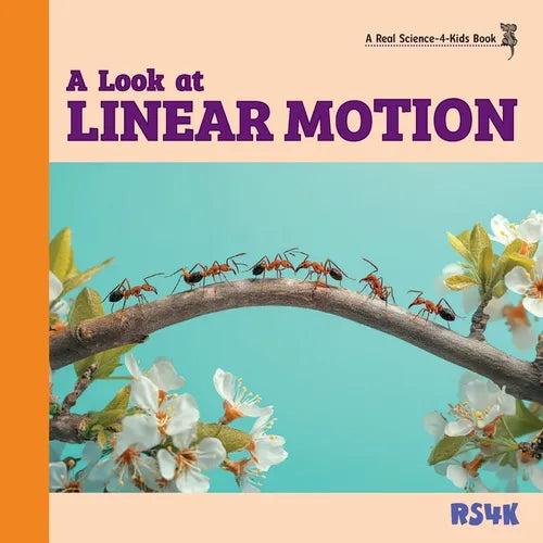 A Look at Linear Motion
